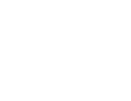 Studies in Polish link