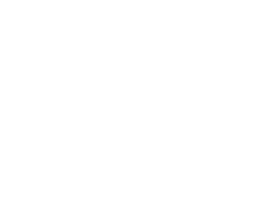 First cycle studies link